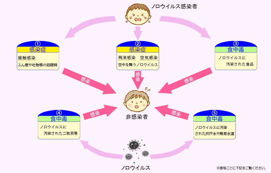 ノロウイルスの感染経路図