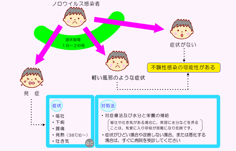 ノロウイルスの症状と対処法の図