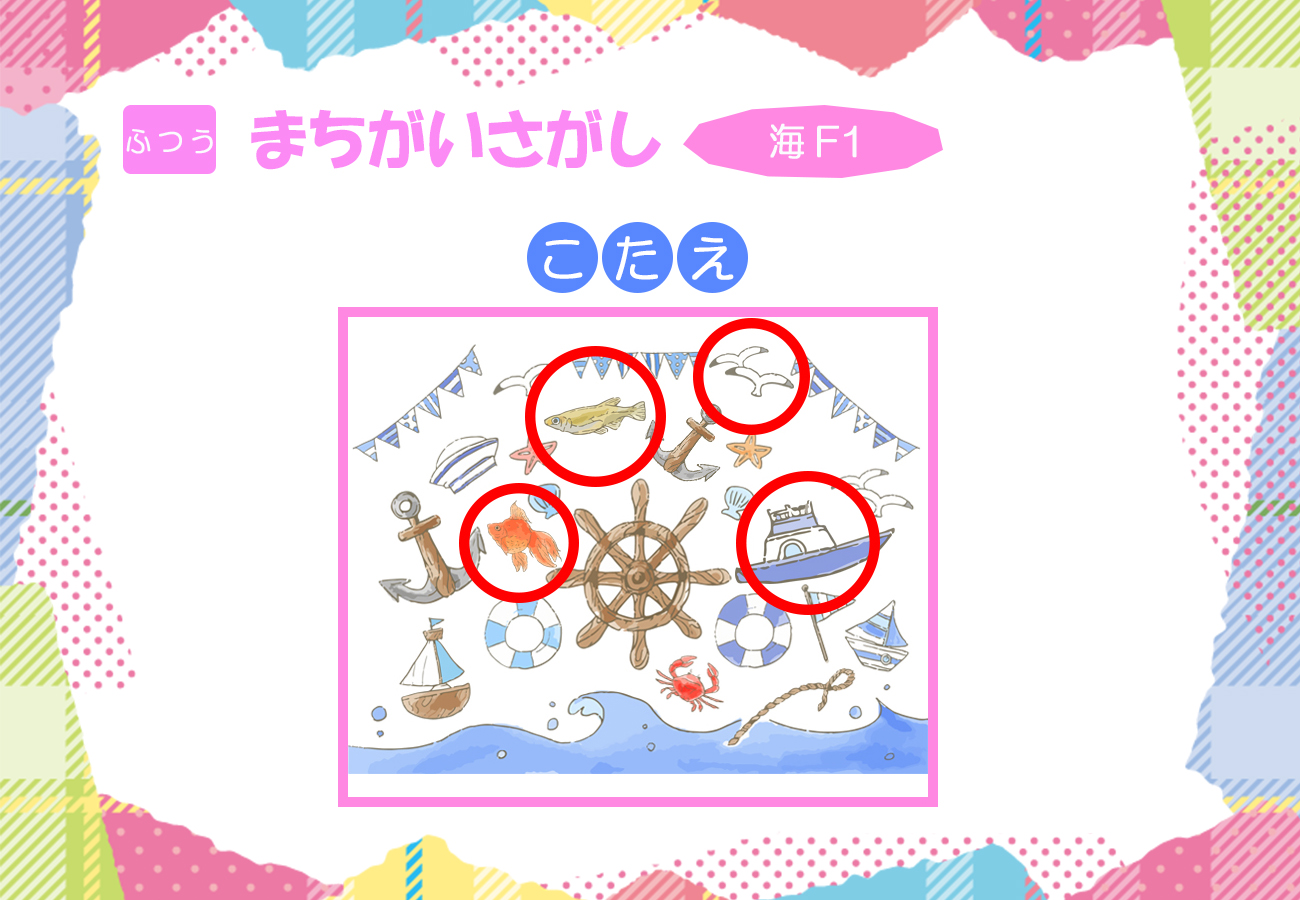 海F1の答え画像